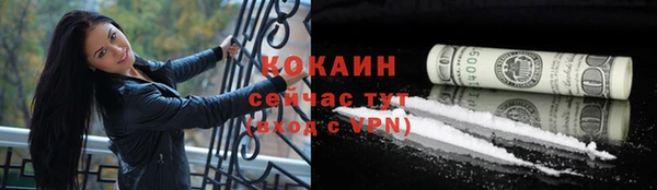 соль ск Алексин